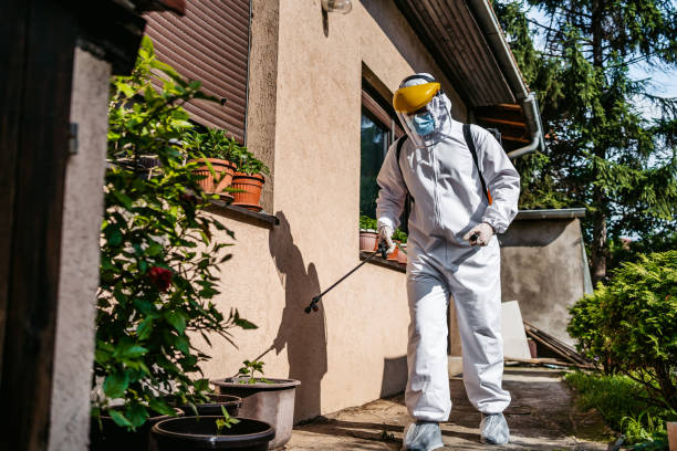 Best Pest Control Near Me  in Harrisonville, MO