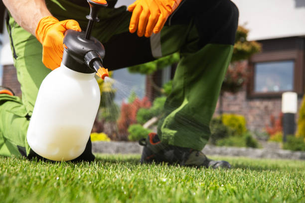 Best Pest Control Treatment  in Harrisonville, MO