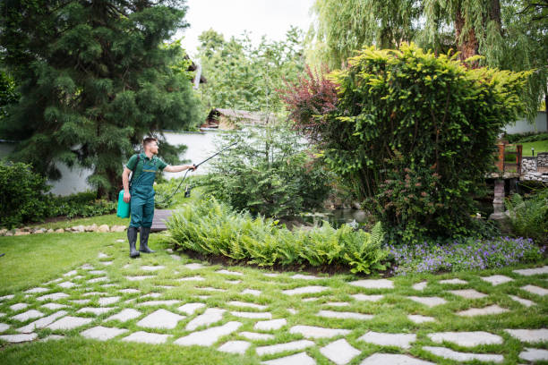 Best Pest Prevention Services  in Harrisonville, MO