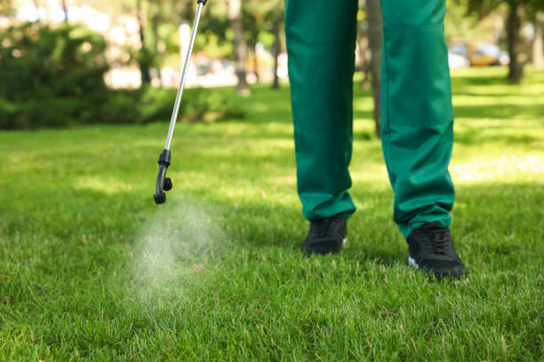 Best Pest Inspection Near Me  in Harrisonville, MO