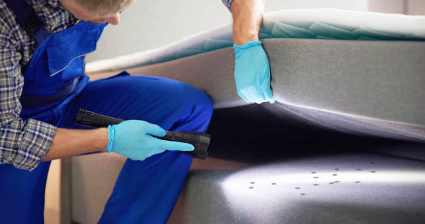 Best Emergency Pest Control  in Harrisonville, MO