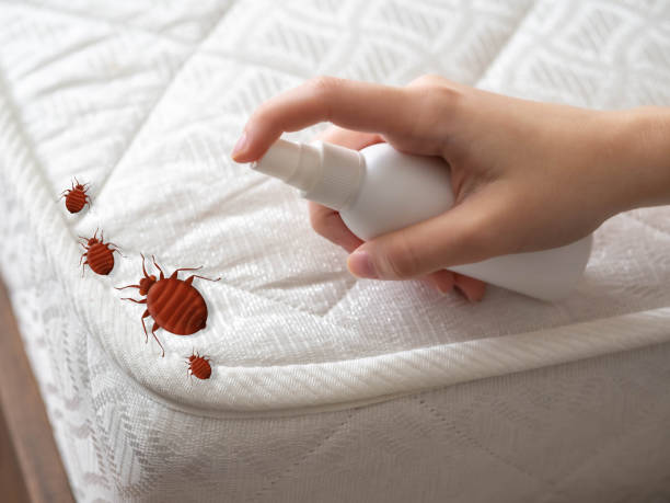 Best Pest Control for Homes  in Harrisonville, MO