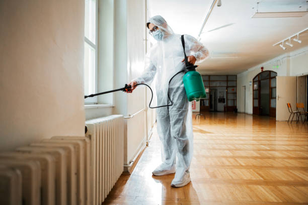 Reliable Harrisonville, MO Pest Control Solutions