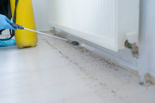 Best Pest Control for Businesses  in Harrisonville, MO