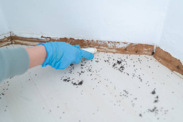 Best Wildlife Control Services  in Harrisonville, MO