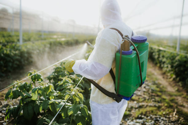 Best Mosquito Control Services  in Harrisonville, MO